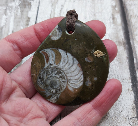 Goniatite ammonite fossil drop pendant.