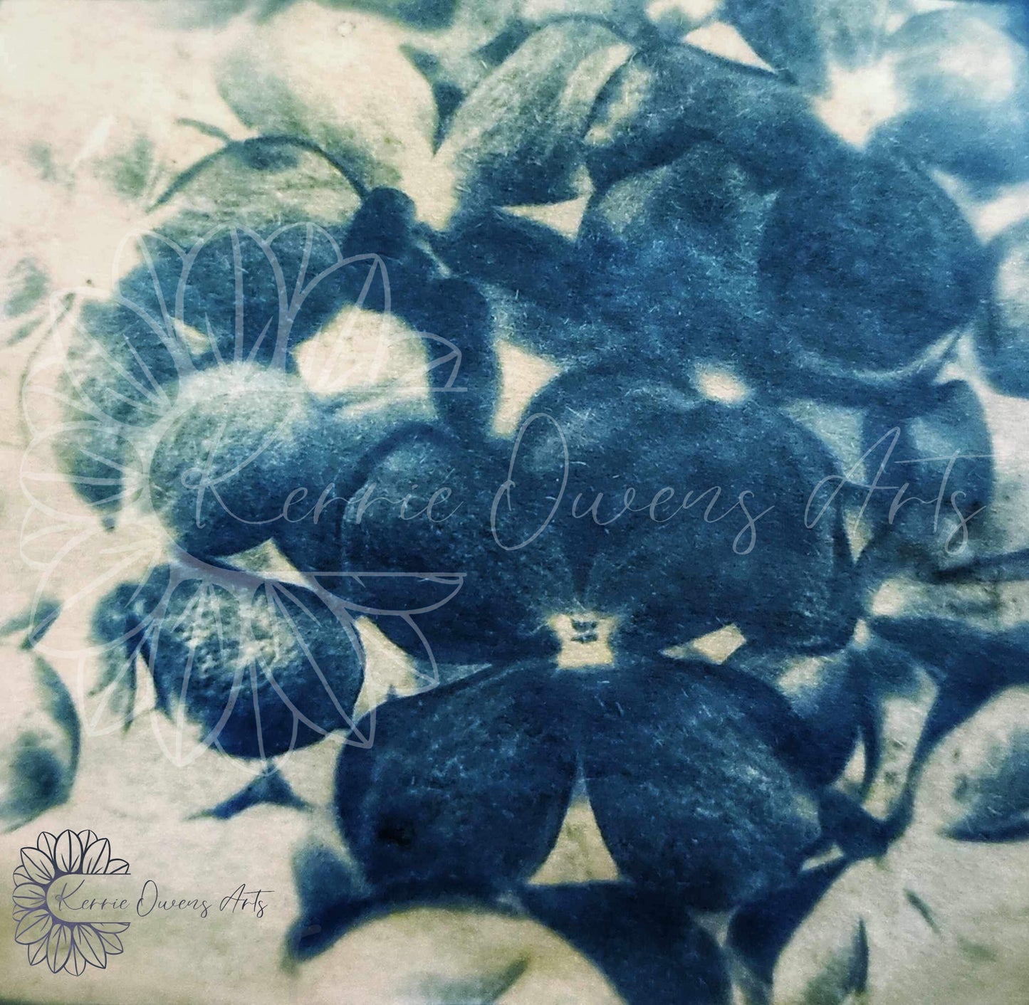 Lilacs flowers cyanotype photographic prints.