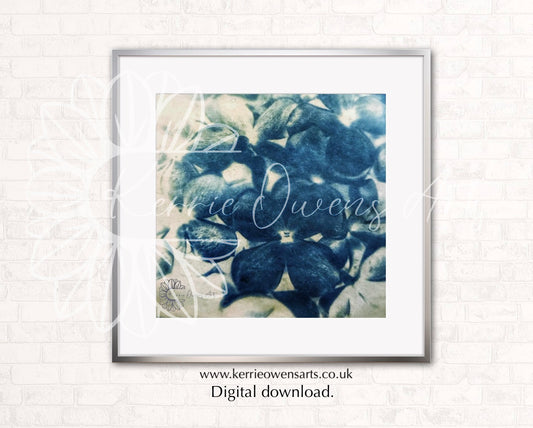 Lilacs flowers cyanotype photographic prints.