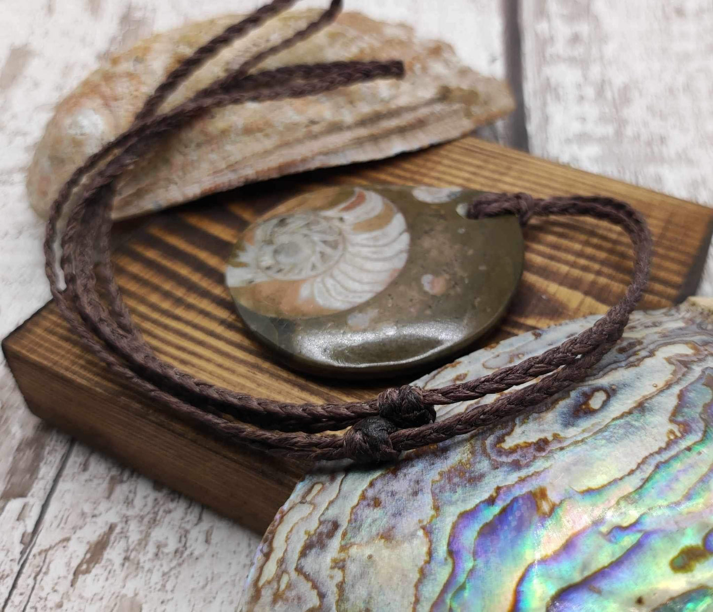 Goniatite ammonite fossil drop pendant.