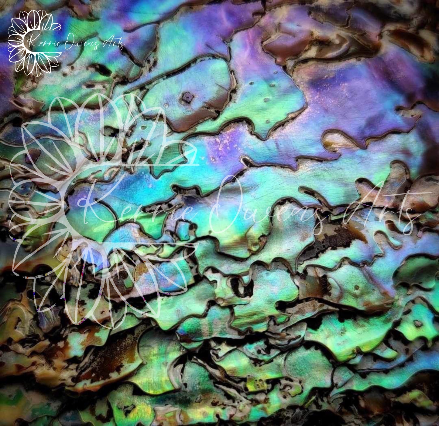 New Zealand rainbow Pāua shell photography print, digital download.