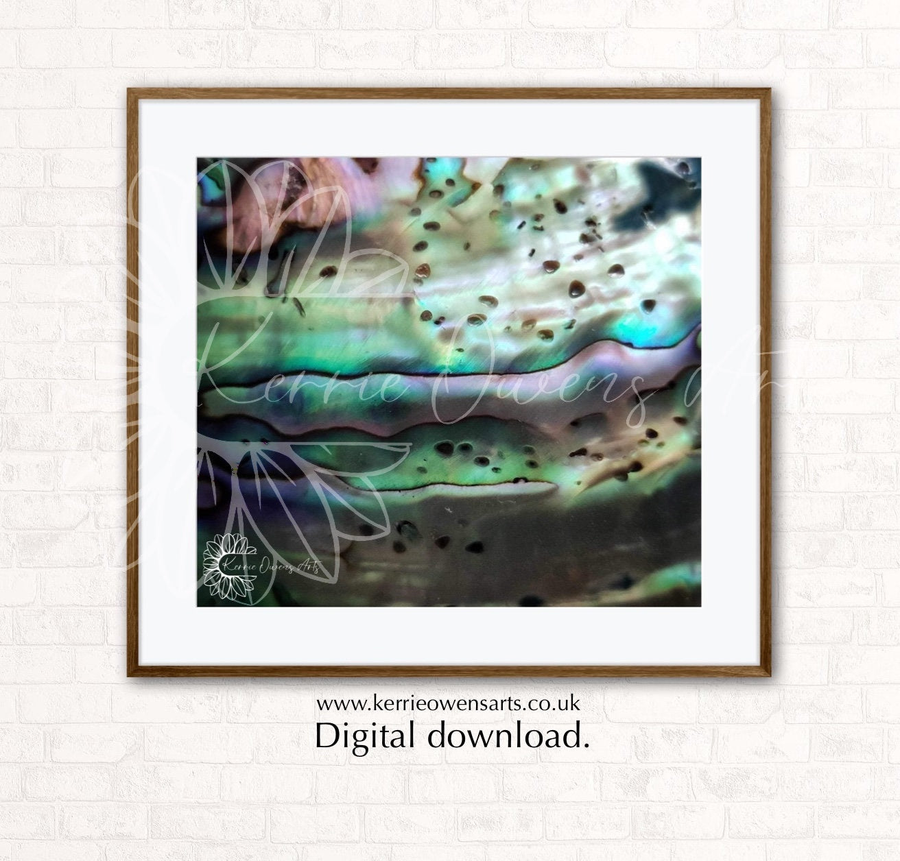 New Zealand rainbow Pāua shell texture, photographic print, digital downloads.