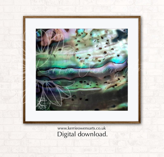 New Zealand rainbow Pāua shell texture, photographic print, digital downloads.